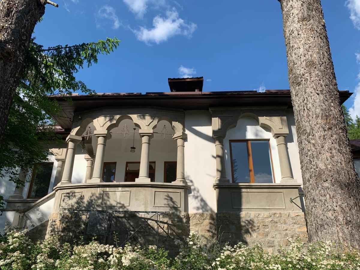 Vila Scriitorilor Sinaia Villa Exterior foto